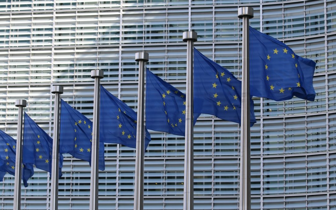 Circular Economy Action Plan