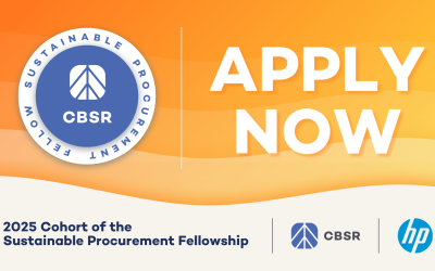 Sustainable Procurement Fellowship (SPF): Lead the Change in Sustainable Procurement